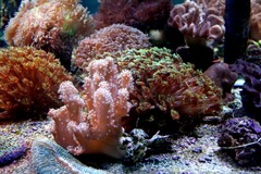 Killikus&reg; Fotographie